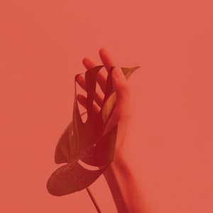 Unique Music for Sleep Therapy - Glockenspiel Music - Nature Atmospheres