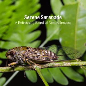 Serene Serenade: A Refreshing Blend of Nature Insects - Forest Crickets