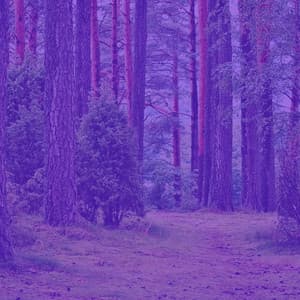 Music for Taking Notes - No Drums Jazz - Happy Playlisted Music