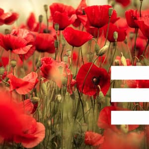 Music - Self Care Days - Música Chill para Cafés