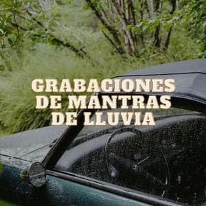 Memoria de gota de lluvia Vol.2 - Registradores de campo al aire libre