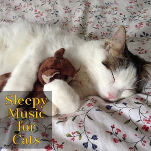 Cats Jazz | Sleepy Music for Cats - Jazz Music for Cats