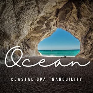 Tranquil Ocean Waves: Soothing Spa and Massage Retreat - Waves Central