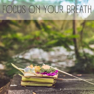 Focus on Your Breath - Bali Vibes