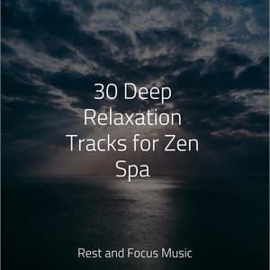 30 Deep Relaxation Tracks for Zen Spa - Sleep Songs 101