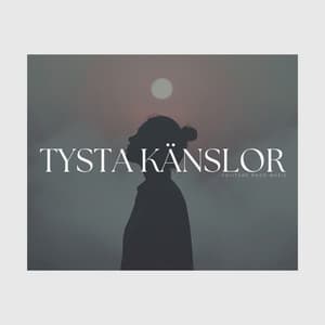 Tysta Känslor - Helande Instrumentalmusik Akademi
