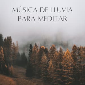 Música De Lluvia Para Meditar - Lluvia Soundzzz Club
