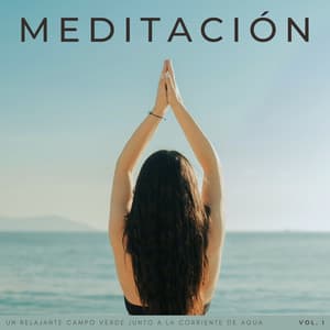 Meditación: Un Relajante Campo Verde Junto A La Corriente De Agua Vol. 1 - Paisajes sonoros de agua