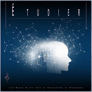 Étudier: Les Ondes Alpha pour se Concentrer et Apprendre - Etude Des Ondes Alpha
