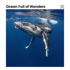 Ocean Full of Wonders - Natural Sounds
