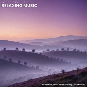 Relaxing Music for Bedtime, Stress Relief, Relaxing, Disturbance 2 - Yoga Musik