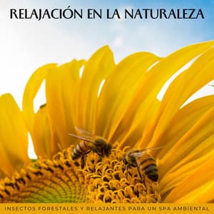 Relajación En La Naturaleza: Insectos Forestales Y Relajantes Para Un Spa Ambiental - Sonidos de Cricket y Sonidos de la Naturaleza Collabo y Zen Master