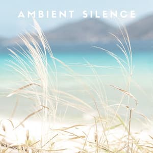 Ambient Silence: Spa Music - Serenity Spa Music Relaxation