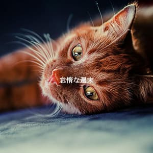 怠惰な週末 - Acoustic Jazz