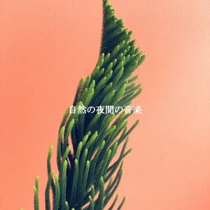 自然の夜間の音楽 - Cafe Jazz Paris