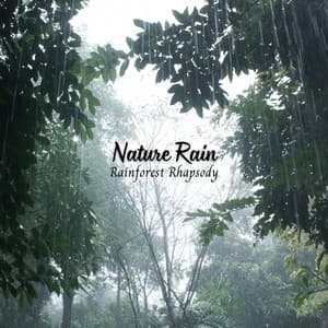 Nature Rain: Rainforest Rhapsody - Lightning, Thunder and Rain Storm