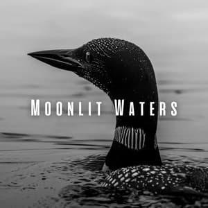 Moonlit Waters: Sleep with Loon Sounds ASMR - Calming Water
