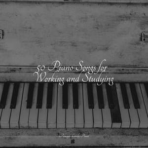50 Piano Songs for Working and Studying - Classical Study Music