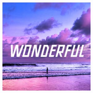 Wonderful - Lonely Ambition