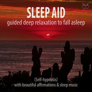 Sleep Aid: Guided Deep Relaxation to Fall Asleep  with Beautiful Affirmations, Sleep Music - Torsten Abrolat