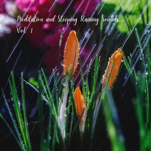 Meditation and Sleeping Raining Sounds Vol. 1 - Soothing Music for Sleep