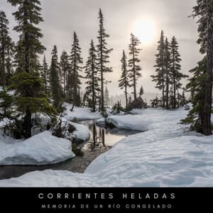 Corrientes Heladas: Memoria De Un Río Congelado - Calma