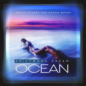Driftwood Dream Ocean - Beach Sounds and Ocean Waves