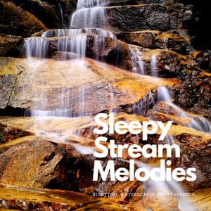 Sleepy Stream Melodies: Nighttime Waterscapes with Ensemble - Sleepy Night Music