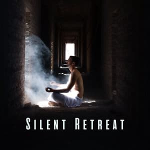 Silent Retreat: Relaxation Music for Meditative Stillness - Meditative Moments