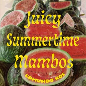 Juicy Summertime Mambos - Edmundo Ros