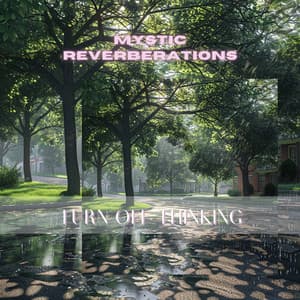 Turn Off Thinking - Mystic Reverberations