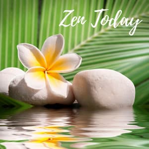 Zen Today - Tight Chill Creator