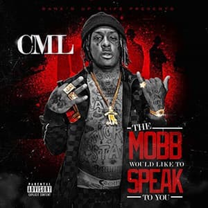The Mobb Would Like to Speak to You - C.M.L.