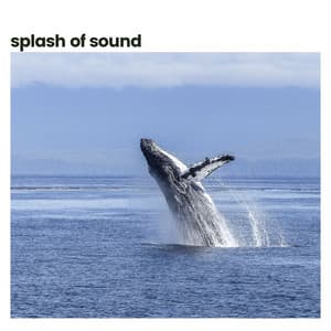 Splash of Sound - Ocean Therapy