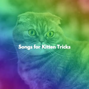 Songs for Kitten Tricks - In Store Music