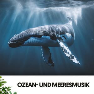 Ozean- und Meeresmusik: Symphonie des tiefen Blaus - Relajacion