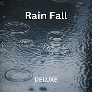 Rain Fall - Music and Sleep