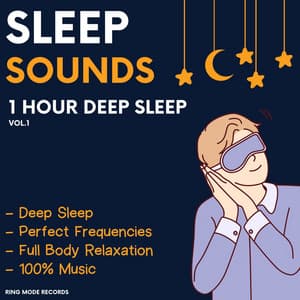 1 Hour Sleep, Vol. 1 - Sleep Sounds