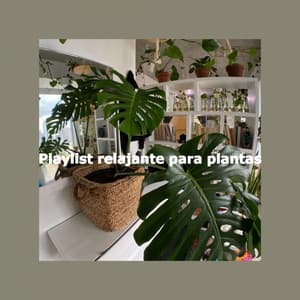 Playlist relajante para plantas - Downtempo Jazz Rilassante