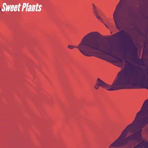 Sweet Plants - Ontspannende Muziek