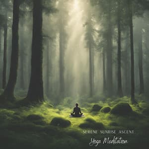 Serene Sunrise Ascent: Yoga Meditation - Serenity Stream