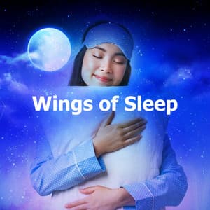 Wings of Sleep - Baby Sleep Rain