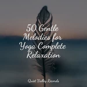 50 Gentle Melodies for Yoga Complete Relaxation - Study Music