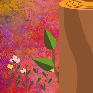 Exquisite Jazz Violin - Ambiance for Summer Keytones - Coffee Bossa Nova Classics