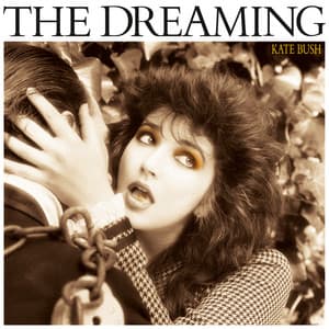 The Dreaming - Kate Bush