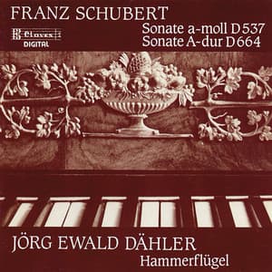 Schubert Sonatas on Brodmann's Hammerklavier - Franz Schubert