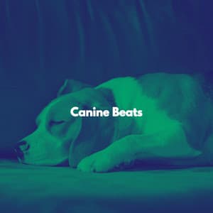 Canine Beats - Cofeehouse Music
