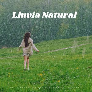 Lluvia Natural: Una Sinfonía De Chirridos En El Aguacero - Ambiente Meteorológico