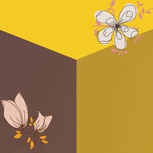 Music for Warm Shadows - Lonely Bossa Guitar Trio with Jazz Organ - Cafe Restaurant Music