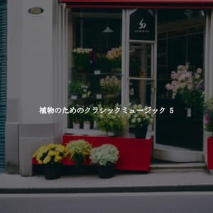 植物のためのクラシックミュージック 5 - Música para Estudiar Playlists